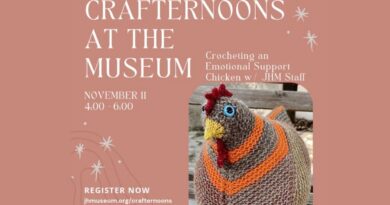 Make an Emotional Support Chicken